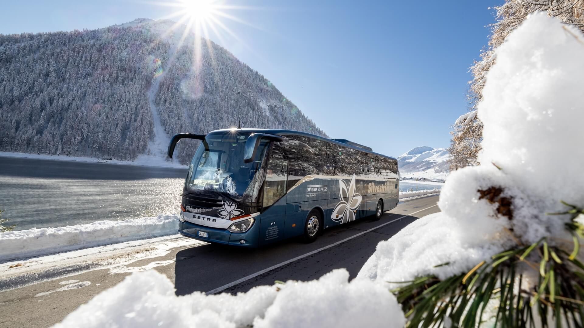 silvestri bus.jpg