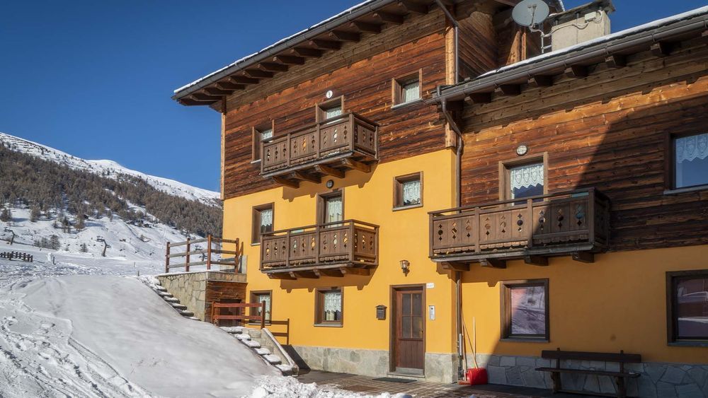 Chalet Sunflower